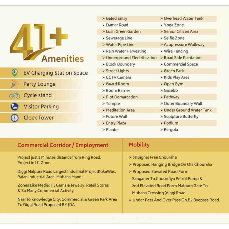 Township overview and plotted development at Chittora Renwal Jaipur