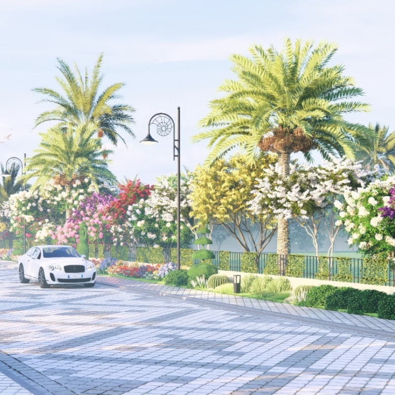 Beautiful palm tree avenue and landscaped roads in Silver Sands Jaipur